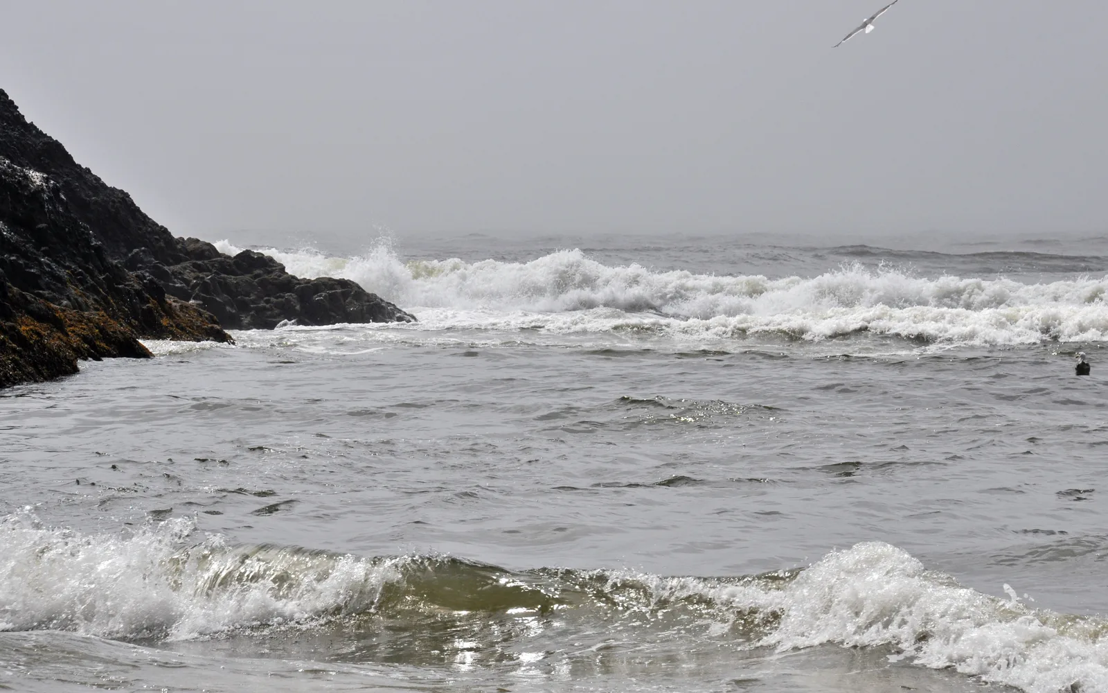 Large breaking waves at a Pacific Ocean beach shoreline, demonstrating the strength and power of the surf