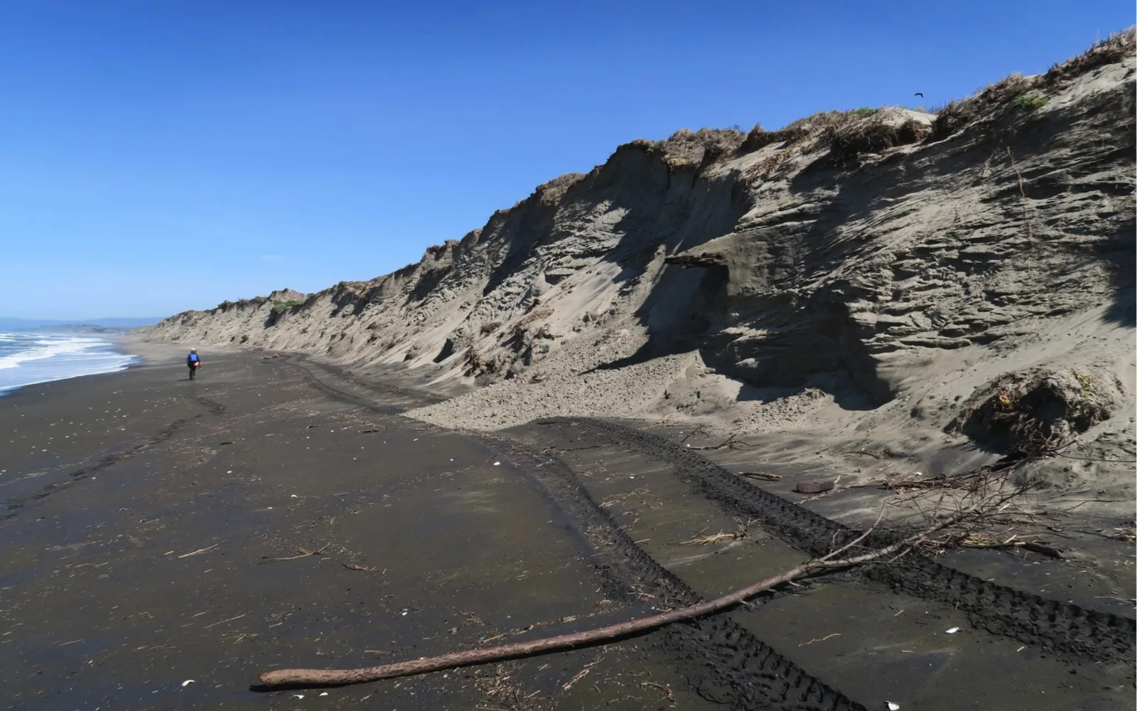 A sandy beach with eroded cliffs rising behind it, showing the coastal geography of California